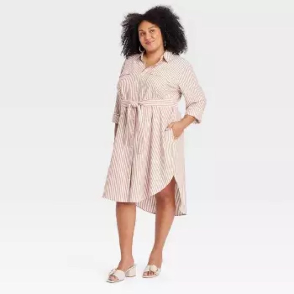Striped Shirt Dress with Belt